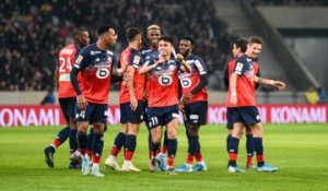 LOSC - Toulouse FC : le bilan des Dogues face au Téfécé