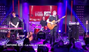 Antoine Elie - La Rose et l'armure (Live) - Le Grand Studio RTL