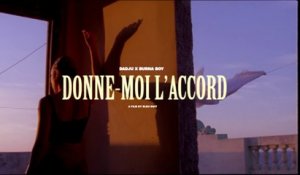 DADJU - Donne moi l'accord avec BURNA BOY (Clip officiel)