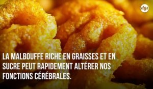 Selon les chercheurs, la malbouffe pourrait causer des problèmes de mémoire