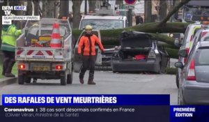 À Paris, les vents violents ont fait un mort et plusieurs blessés jeudi