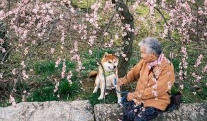 Il prend des photos magnifiques de sa grand-mère en compagnie de son Shiba Inu