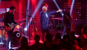 Louis Chedid - "Ainsi soit-il" (Live) - Le Grand Studio RTL