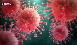 Virus - Quels sont les pays qui sont encore épargnés par l'épidémie de coronavirus dans le monde ? - VIDEO