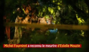 Michel Fourniret a reconnu le meurtre d'Estelle Mouzin