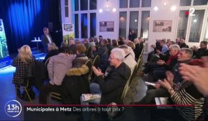 Municipales 2020 : à Metz, l'écologie a le vent en poupe