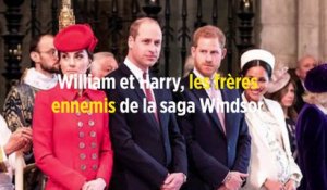 William et Harry, les frères ennemis de la saga Windsor