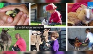 Mediation_animale