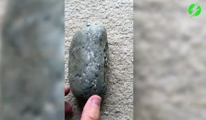 Ce qu'il découvre en cassant une pierre en 2 est magique