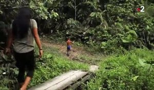 Équateur : Nemo, gardienne de la forêt amazonienne