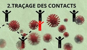 Coronavirus : comment contrôler une épidémie, mode d'emploi