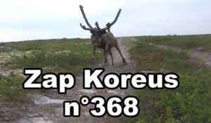 Zap Koreus n°368