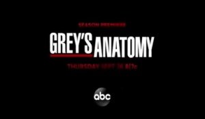 Grey's Anatomy - Promo 16x18