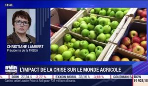 Édition spéciale : l'impact de la crise sur le monde agricole - 20/03