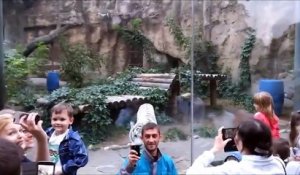 Ce tigre blanc adore faire des selfies avec les touristes