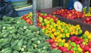 Coronavirus : Kobenan Adjoumani visite la zone portuaire et le marché de Treichville