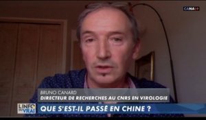 Bruno Canard, directeur de recherche au CNRS en virologie s'exprime sur la gestion du virus en Chine