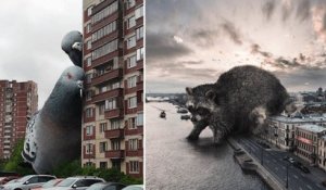 Ce photographe met scène des animaux géants qui règnent dans des décors urbains