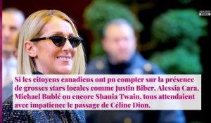 Céline Dion : cette décision incompréhensible qui a rendu ses fans canadiens furieux