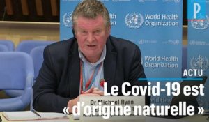 Coronavirus : l'origine du Covid-19 est «naturelle» affirme l'OMS
