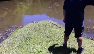 Photo d'un crocodile : il laisse tomber son iphone dans l'eau par surprise !