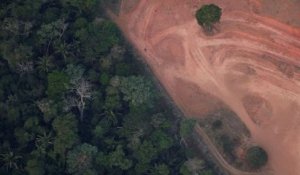 La déforestation en Amazonie a atteint un nouveau record depuis janvier au Brésil