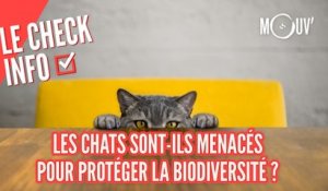 Les chats sont-ils menacés pour protéger la biodiversité ?