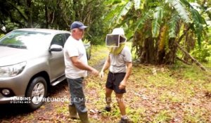 La Réunion Le miel de litchi