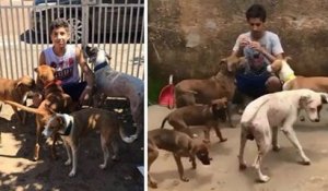 Au Brésil, cet adolescent de 17 ans ouvre son propre refuge et recueille 22 chiens et 4 chats