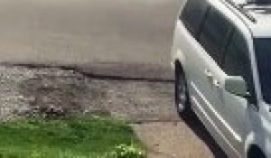 Sa tondeuse a un petit problème d'huile... ça fume