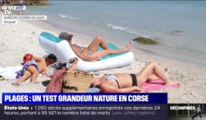 Bronzer est à nouveau autorisé sur la quasi-totalité des plages de Corse