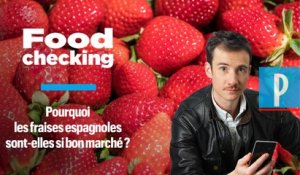 Immigrés exploités, goût : faut-il encore acheter des fraises espagnoles ?