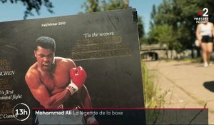 Mohamed Ali : l'histoire d'un boxeur légendaire