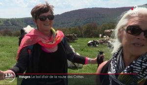 Vosges : le bol d'air sur la route des Crêtes