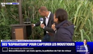 La ville de Hyères, dans le Var, a installé des "aspirateurs" pour capturer les moustiques qui prolifèrent
