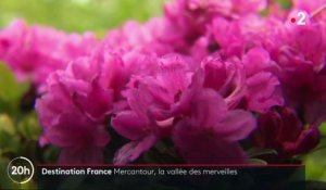 Destination France : à la découverte de la vallée des Merveilles