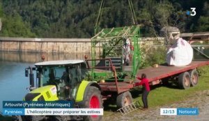 Agriculture : les estives se préparent dans le Béarn