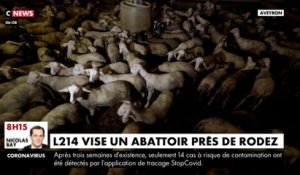 L214 vise un abattoir près de Rodez