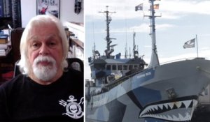 Sea Shepherd : des pirates pour sauver les océans ? | Le Speech du capitaine Paul Watson