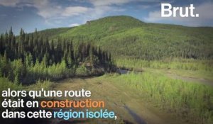 Le bus 142 enlevé de sa forêt d'Alaska par un hélicoptère