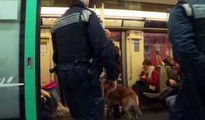 Vrai ou fake : les agents de sûreté et de la RATP peuvent-ils employer la force ?