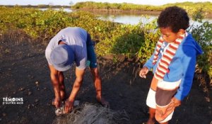 Nouvelle-Calédonie : Le clan de la mer