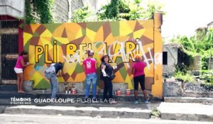 Guadeloupe : Pli Bel La Ri