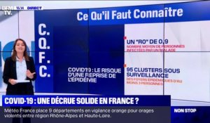Covid-19: quelle est la situation de l'épidémie en France et en particulier en Guyane ?