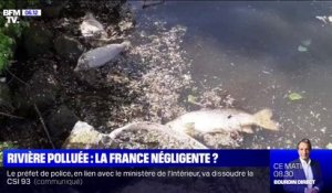Pollution de l'Escaut: la France a-t-elle été négligente envers la Belgique ?