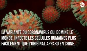 Covid-19 : le virus actuellement en circulation pourrait être plus contagieux
