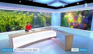 Gironde : à la découverte des vignobles et des châteaux