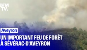 Aveyron: un important feu de forêt ravage plus de 25 hectares, les pompiers du département mobilisés