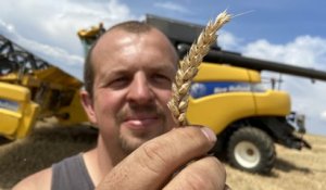 Les moissons de blé démarrent en Moselle