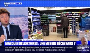 Masques obligatoires: une mesure nécessaire ? (2) - 20/07